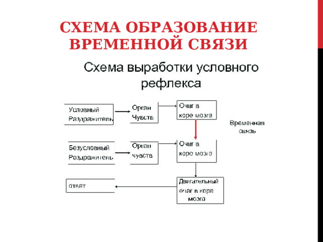 СХЕМА ОБРАЗОВАНИЕ ВРЕМЕННОЙ СВЯЗИ 