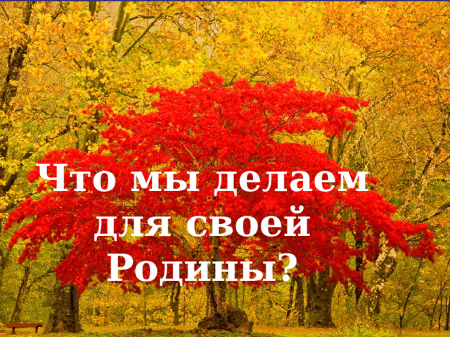 Что мы делаем для своей Родины? 
