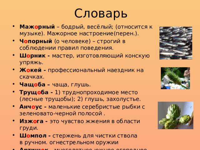 Словарь Маж о рный – бодрый, весёлый; (относится к музыке). Мажорное настроение(перен.). Ч о порный (о человеке) – строгий в соблюдении правил поведения. Ш о рник - мастер, изготовляющий конскую упряжь. Ж о кей - профессиональный наездник на скачках. Чащ о ба – чаща, глушь. Трущ о ба - 1) труднопроходимое место (лесные трущобы); 2) глушь, захолустье. Анч о ус - маленькие серебристые рыбки с зеленовато-черной полосой . Изж о га - это чувство жжения в области груди. Ш о мпол - стержень для чистки ствола в ручном. огнестрельном оружии Артиш о к - многолетнее южное огородное растение. 