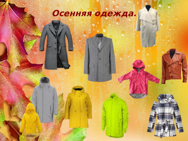 Осенняя одежда. 