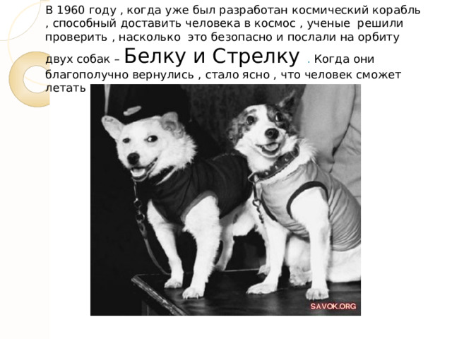 В 1960 году , когда уже был разработан космический корабль , способный доставить человека в космос , ученые решили проверить , насколько это безопасно и послали на орбиту двух собак – Белку и Стрелку . Когда они благополучно вернулись , стало ясно , что человек сможет летать в космос . 