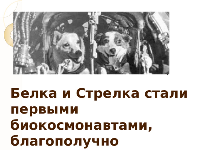 Белка и Стрелка стали первыми биокосмонавтами, благополучно вернувшимися на Землю 
