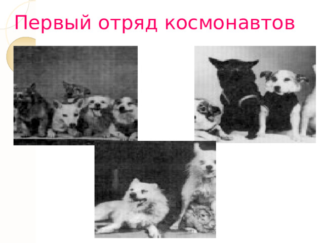 Первый отряд космонавтов 