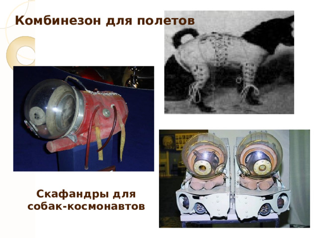 Комбинезон для полетов Скафандры для собак-космонавтов 
