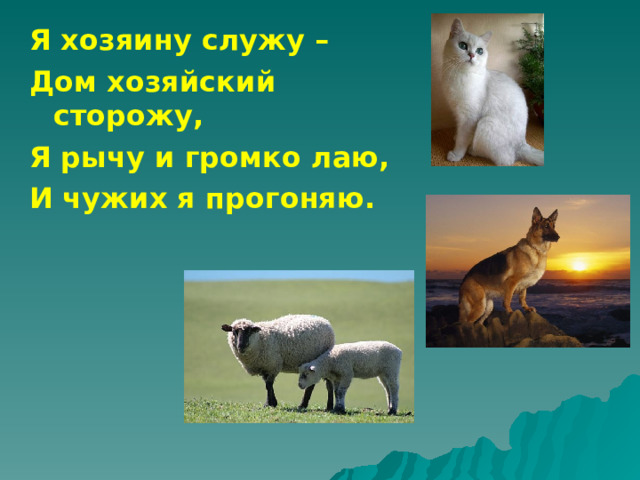 Я хозяину служу – Дом хозяйский сторожу, Я рычу и громко лаю, И чужих я прогоняю. 
