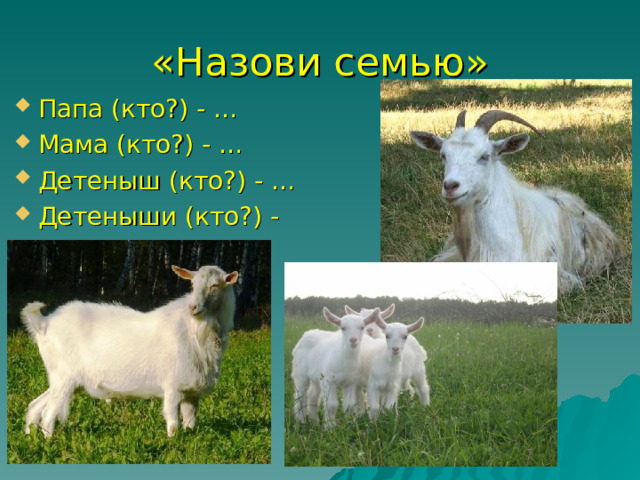 «Назови семью» Папа (кто?) - … Мама (кто?) - … Детеныш (кто?) - … Детеныши (кто?) - … 