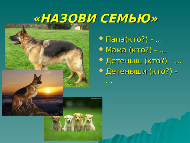«НАЗОВИ СЕМЬЮ» Папа(кто?) - … Мама (кто?) - … Детеныш (кто?) - … Детеныши (кто?) - … 