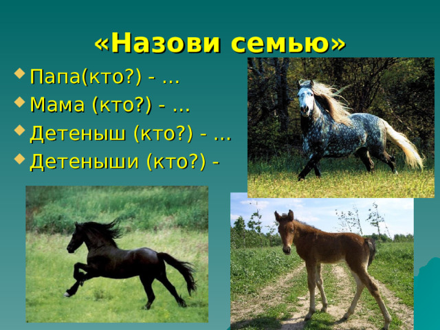 «Назови семью» Папа(кто?) - … Мама (кто?) - … Детеныш (кто?) - … Детеныши (кто?) - …  