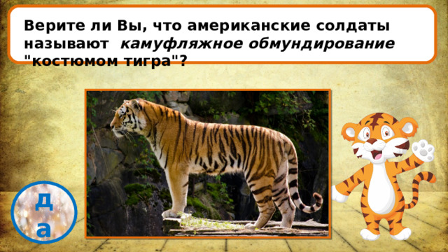 Верите ли Вы, что американские солдаты называют камуфляжное обмундирование 