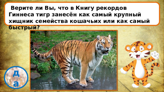   Верите ли Вы, что в Книгу рекордов Гиннеса тигр занесён как самый крупный хищник семейства кошачьих или как самый быстрый?   проверка да 
