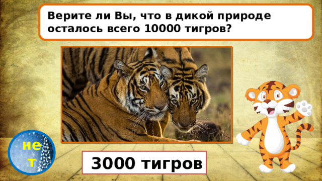 Верите ли Вы, что в дикой природе осталось всего 10000 тигров? проверка нет  3000 тигров 
