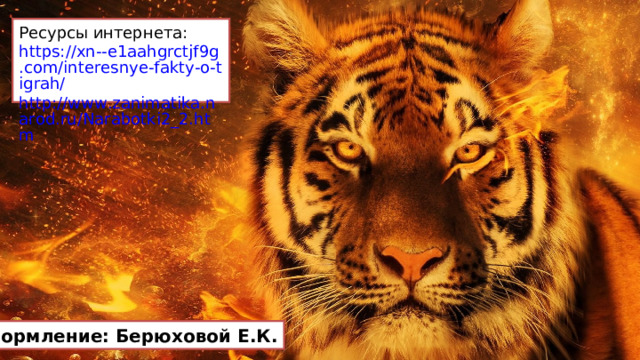 Ресурсы интернета: https://xn--e1aahgrctjf9g.com/interesnye-fakty-o-tigrah/ http://www.zanimatika.narod.ru/Narabotki2_2.htm Оформление: Берюховой Е.К. 