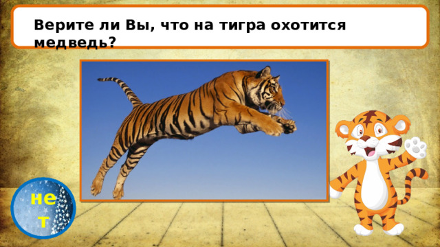 Верите ли Вы, что на тигра охотится медведь? проверка нет 