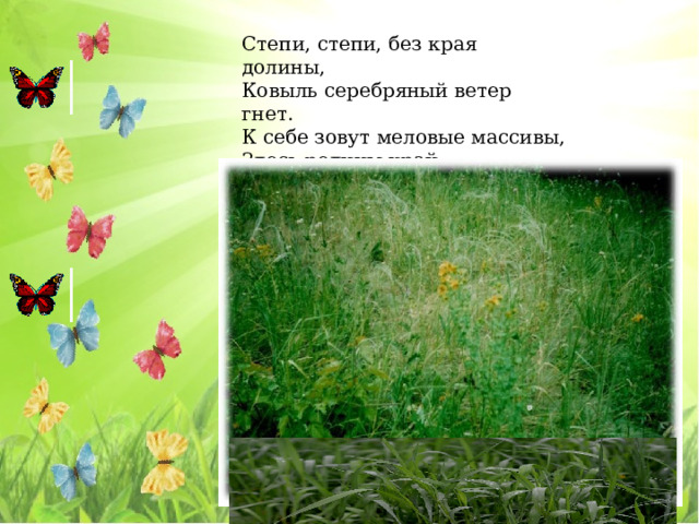 Степи, степи, без края долины, Ковыль серебряный ветер гнет. К себе зовут меловые массивы, Здесь родины край, Здесь мы живем! 