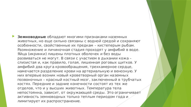 Земноводные  обладают многими признаками наземных животных, но еще сильно связаны с водной средой и сохраняют особенности, свойственные их предкам – кистеперым рыбам. Размножение и личиночная стадия проходят у амфибий в воде. Яйца (икринки) лишены плотных оболочек и без воды развиваться не могут. В связи с участием в дыхании кожа – слизистая и, как правило, голая, лишенная роговых щитков. У амфибий два круга кровообращения, трехкамерное сердце, намечается разделение крови на артериальную и венозную. У них впервые возник новый кроветворный орган наземных позвоночных – красный костный мозг, заключенный в трубчатых костях. Передние и задние конечности состоят из тех же отделов, что и у высших животных. Температура тела непостоянна, зависит, от окружающей среды. Это ограничивает активность земноводных только теплым периодом года и лимитирует их распространение. 