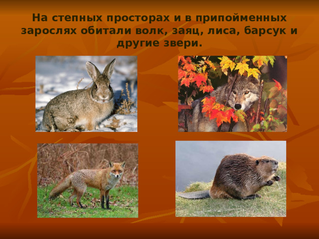 На степных просторах и в припойменных зарослях обитали волк, заяц, лиса, барсук и другие звери. 