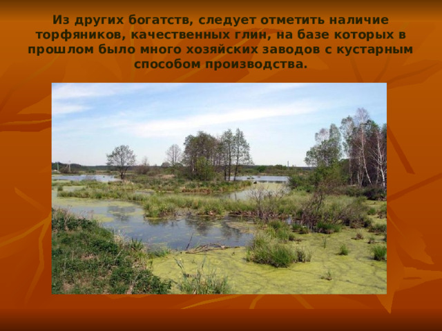 Из других богатств, следует отметить наличие торфяников, качественных глин, на базе которых в прошлом было много хозяйских заводов с кустарным способом производства. 