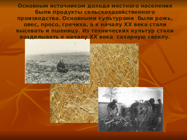 Основным источником дохода местного населения были продукты сельскохозяйственного производства. Основными культурами были рожь, овес, просо, гречиха, а к началу XX века стали высевать и пшеницу. Из технических культур стали возделывать к началу XX века сахарную свёклу. 