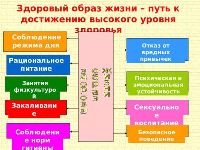 Здоровый образ жизни – путь к достижению высокого уровня здоровья  Соблюдение режима дня Отказ от вредных привычек Рациональное питание Психическая и эмоциональная устойчивость Занятия физкультурой Закаливание Сексуальное воспитание Соблюдение норм гигиены Безопасное поведение 