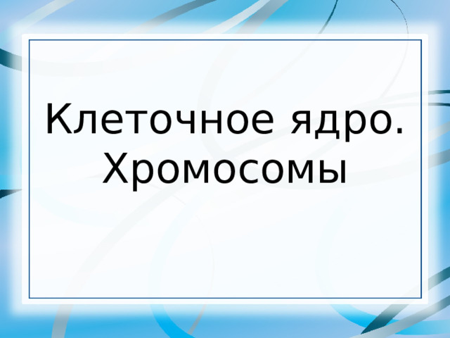 Клеточное ядро.  Хромосомы 