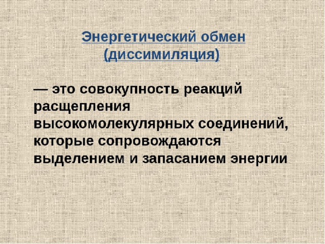 Какой процесс поставляет энергию в клетке,  организме? 