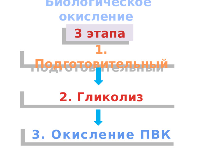 Биологическое окисление 3 этапа 1. Подготовительный 2. Гликолиз 3. Окисление ПВК 