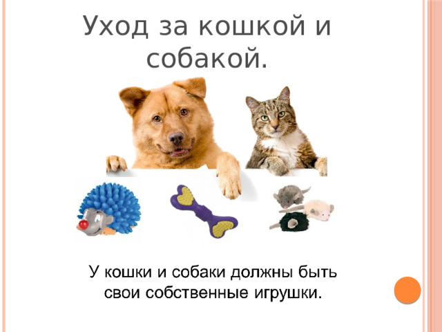 Уход за кошкой и собакой. 