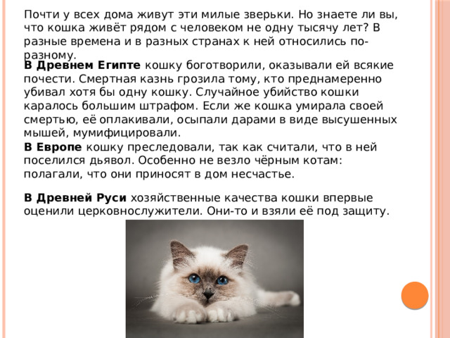 Почти у всех дома живут эти милые зверьки. Но знаете ли вы, что кошка живёт рядом с человеком не одну тысячу лет? В разные времена и в разных странах к ней относились по-разному. В Древнем Египте кошку боготворили, оказывали ей всякие почести. Смертная казнь грозила тому, кто преднамеренно убивал хотя бы одну кошку. Случайное убийство кошки каралось большим штрафом. Если же кошка умирала своей смертью, её оплакивали, осыпали дарами в виде высушенных мышей, мумифицировали. В Европе кошку преследовали, так как считали, что в ней поселился дьявол. Особенно не везло чёрным котам: полагали, что они приносят в дом несчастье. В Древней Руси хозяйственные качества кошки впервые оценили церковнослужители. Они-то и взяли её под защиту. 