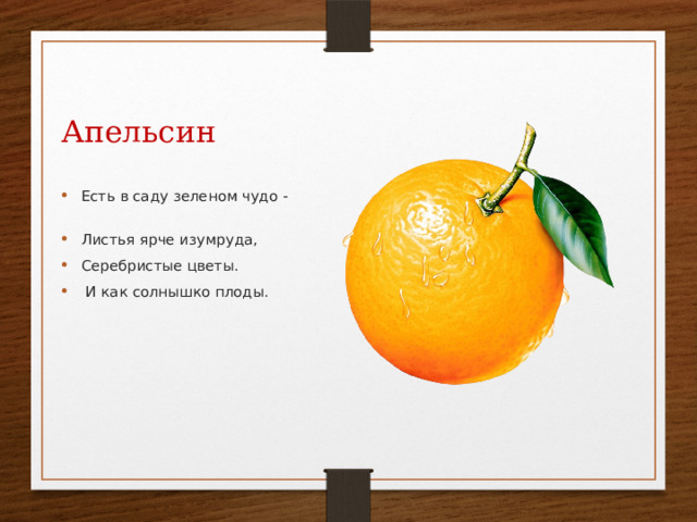 Апельсин Есть в саду зеленом чудо - Листья ярче изумруда, Серебристые цветы.  И как солнышко плоды. 
