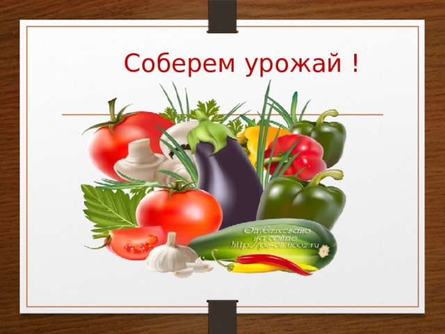  Соберем урожай ! 