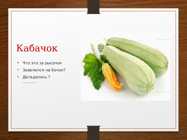 Кабачок Что это за рысачок Завалился на бочок? Догадались ? ……….. 