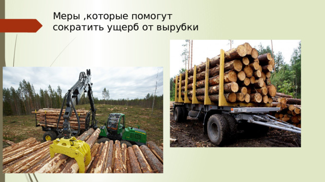 Меры ,которые помогут сократить ущерб от вырубки 