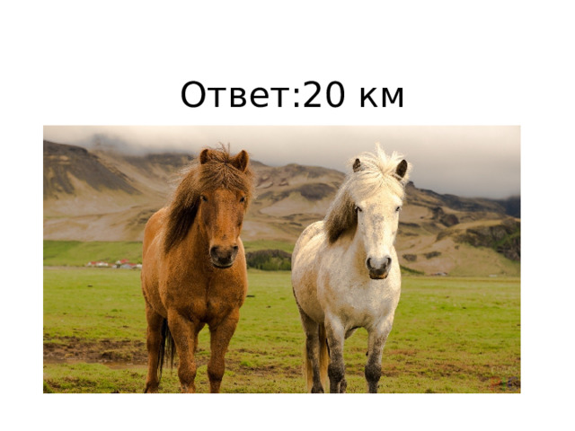 Ответ:20 км 