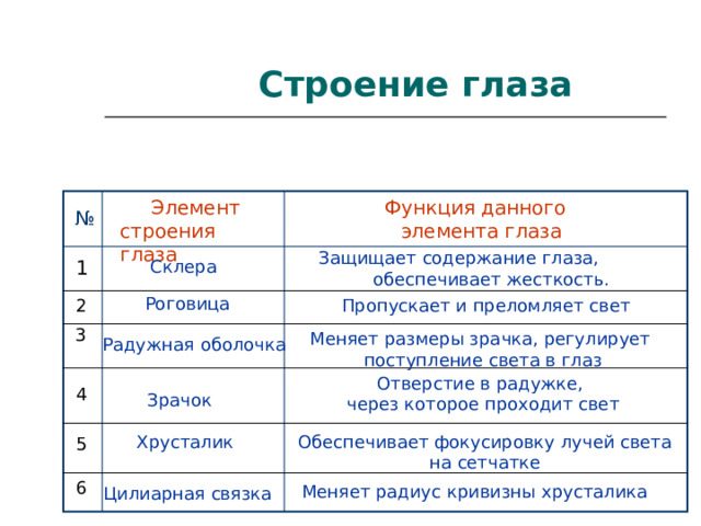   С троение глаза  Элемент строения глаза  Функция данного  элемента глаза №  З ащищает содержание глаза,  обеспечивает жесткость.  С клера 1  Роговица  Пропускает и преломляет свет 2 3 Меняет размеры зрачка, регулирует  поступление света в глаз Радужная оболочка Отверстие в радужке, через которое проходит свет 4  Зрачок Хрусталик Обеспечивает фокусировку лучей света на сетчатке 5 6 Меняет радиус кривизны хрусталика Цилиарная связка 