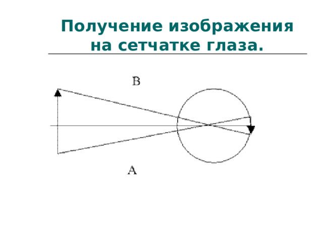 Получение изображения на сетчатке глаза. 