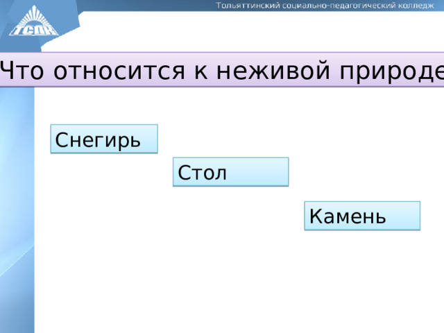 Что относится к неживой природе? Снегирь Стол Камень 