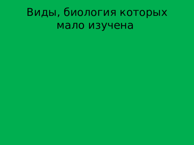 Виды, биология которых мало изучена 
