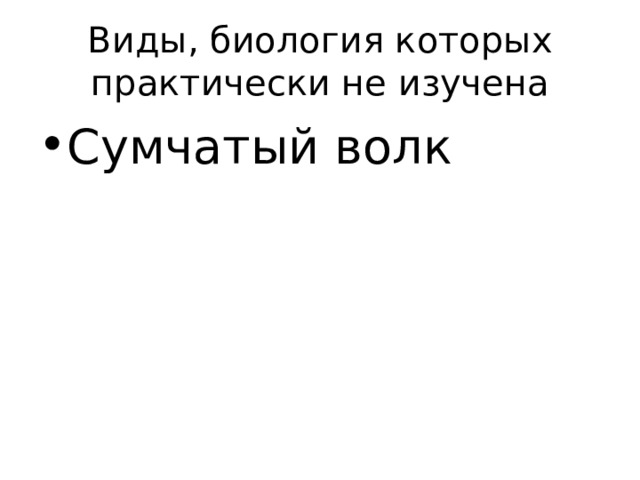 Виды, биология которых практически не изучена Сумчатый волк 