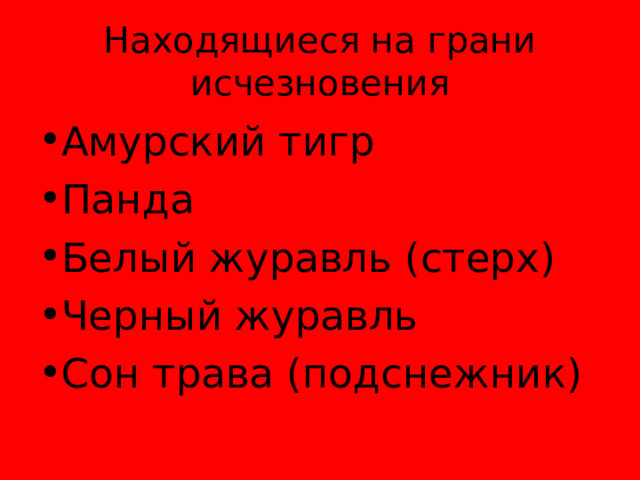 Находящиеся на грани исчезновения Амурский тигр Панда Белый журавль (стерх) Черный журавль Сон трава (подснежник) 