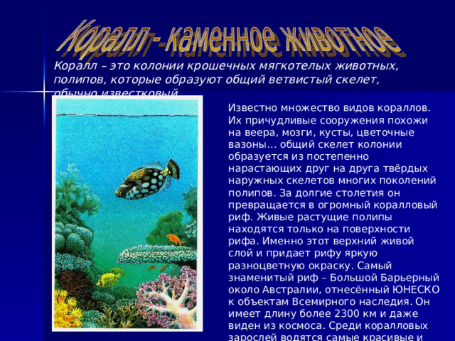 Коралл – это колонии крошечных мягкотелых животных, полипов, которые образуют общий ветвистый скелет, обычно известковый. Известно множество видов кораллов. Их причудливые сооружения похожи на веера, мозги, кусты, цветочные вазоны… общий скелет колонии образуется из постепенно нарастающих друг на друга твёрдых наружных скелетов многих поколений полипов. За долгие столетия он превращается в огромный коралловый риф. Живые растущие полипы находятся только на поверхности рифа. Именно этот верхний живой слой и придает рифу яркую разноцветную окраску. Самый знаменитый риф – Большой Барьерный около Австралии, отнесённый ЮНЕСКО к объектам Всемирного наследия. Он имеет длину более 2300 км и даже виден из космоса. Среди коралловых зарослей водятся самые красивые и яркие на свете рыбки. 