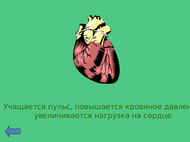  Учащается пульс, повышается кровяное давление, увеличивается нагрузка на сердце. 
