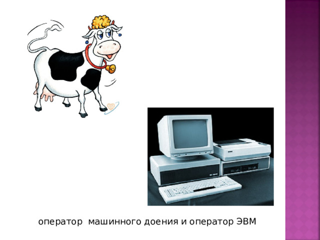оператор машинного доения и оператор ЭВМ 