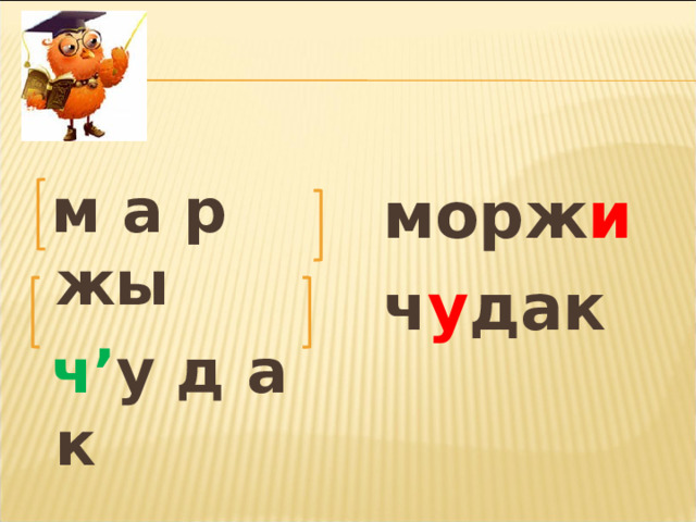  м а р жы  ч’ у д а к  морж и   ч у дак 