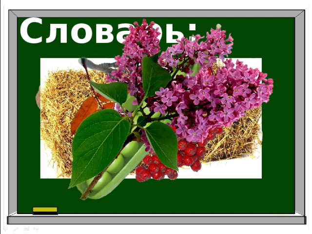 Словарь: 