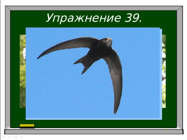 Упражнение 39. 