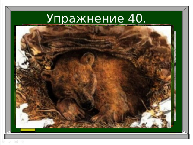 Упражнение 40. 