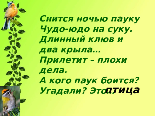 Снится ночью пауку Чудо-юдо на суку. Длинный клюв и два крыла… Прилетит – плохи дела. А кого паук боится? Угадали? Это… птица 
