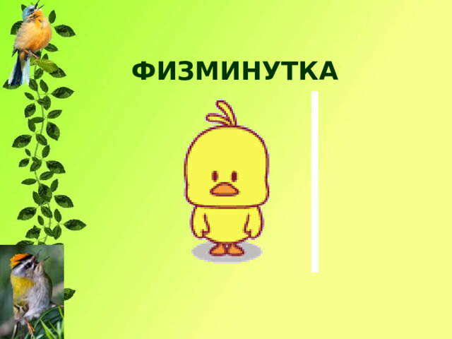 ФИЗМИНУТКА 