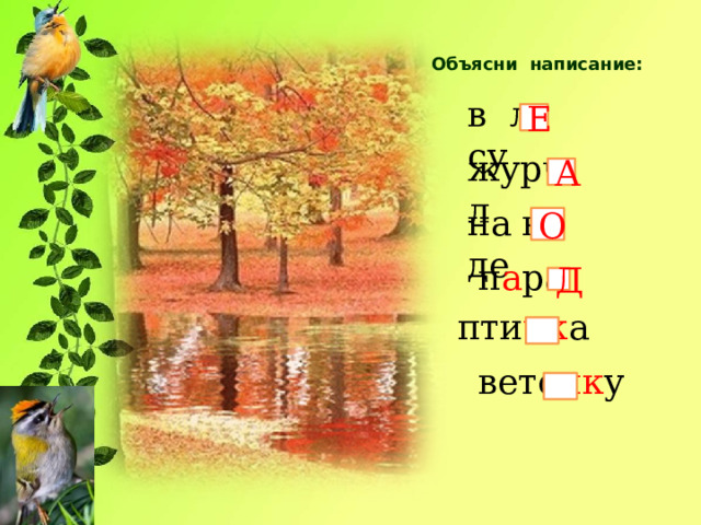 Объясни написание: в л су Е журч л A на в де О п а ра Д пти чк а вето чк у 