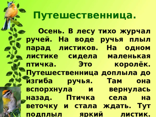 Путешественница. Осень. В лесу тихо журчал ручей. На воде ручья плыл парад листиков. На одном листике сидела маленькая птичка. Это королёк. Путешественница доплыла до изгиба ручья. Там она вспорхнула и вернулась назад. Птичка села на веточку и стала ждать. Тут подплыл яркий листик. Королёк опустился на листик и поплыл, как на кораблике. 